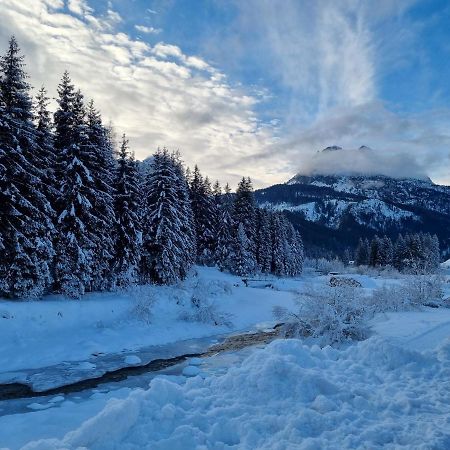 Hirsch Haus Apartment Santo Stefano Di Cadore Ngoại thất bức ảnh