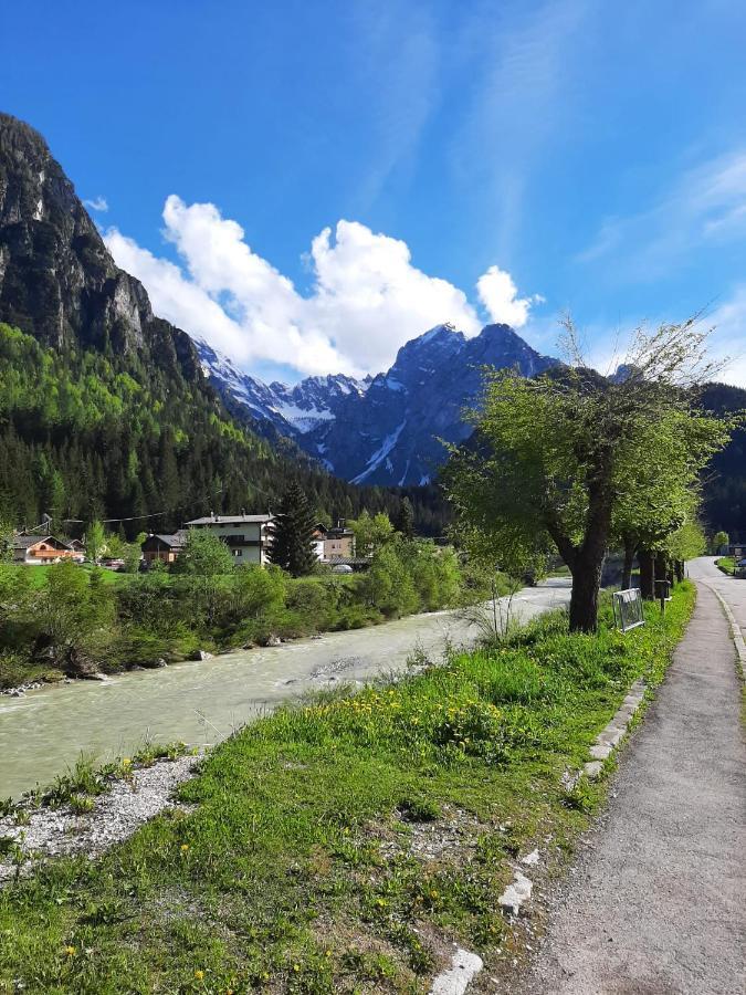 Hirsch Haus Apartment Santo Stefano Di Cadore Ngoại thất bức ảnh