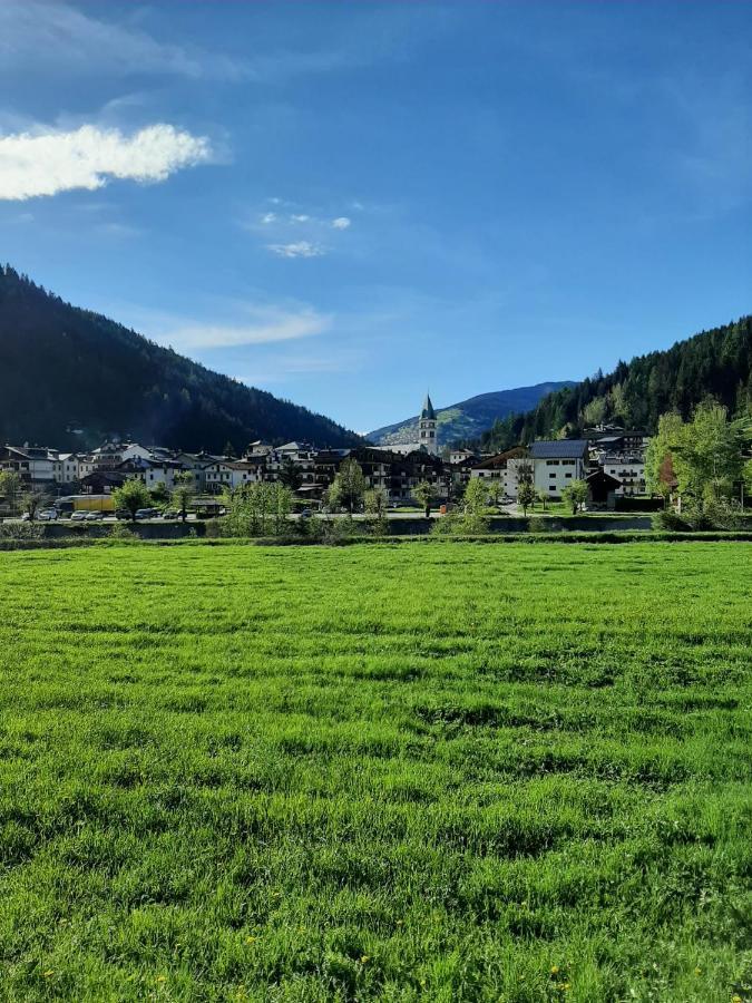 Hirsch Haus Apartment Santo Stefano Di Cadore Ngoại thất bức ảnh